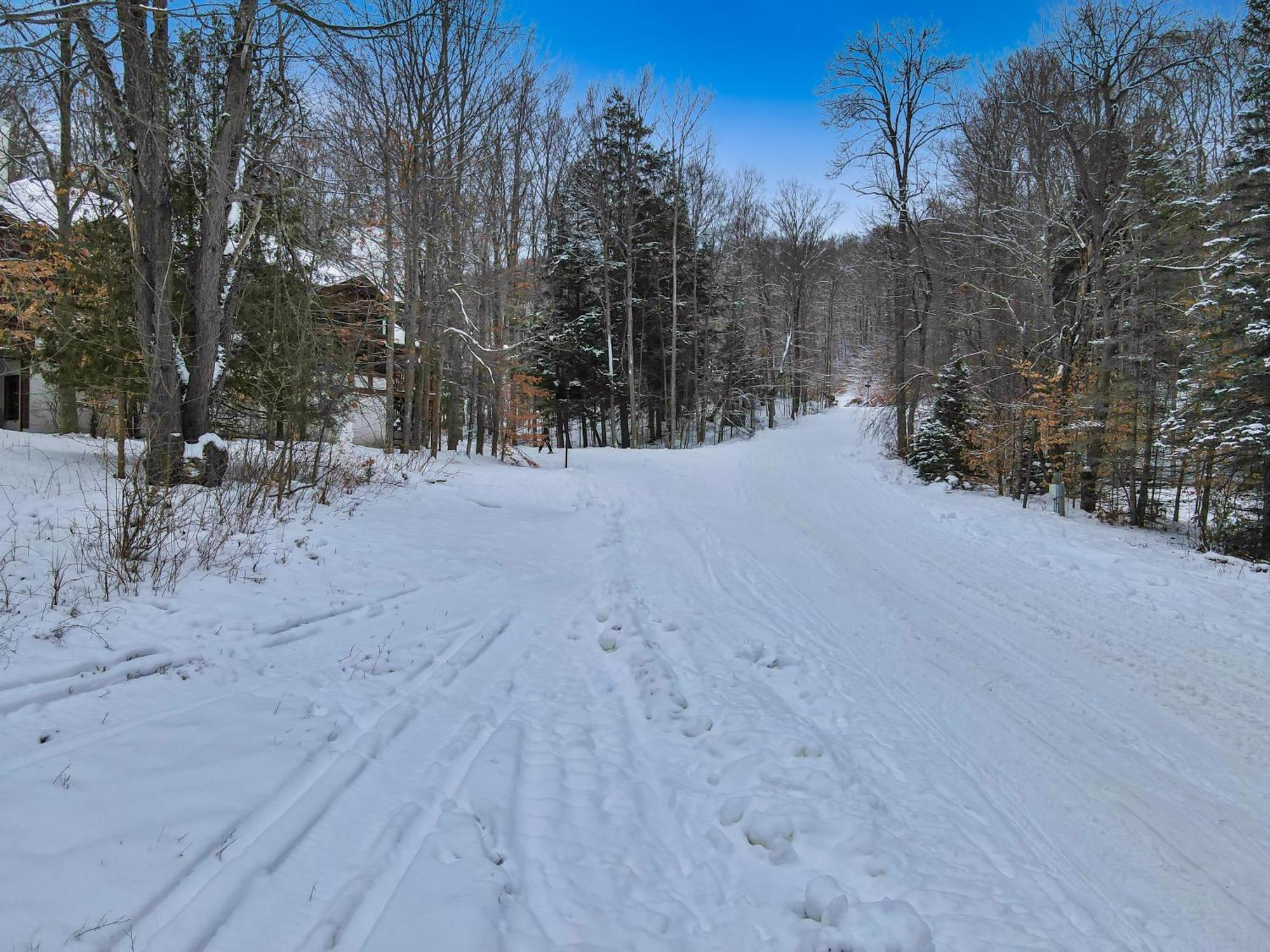 678 Disciples Village Unit Boyne Falls Exterior photo